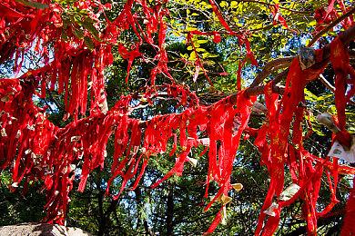 《三国志8重制版》武将能力排行榜 你想拥有哪位武将？